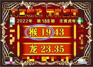 香港100%最准一肖中,效能解答解释落实_游戏版121,127.12